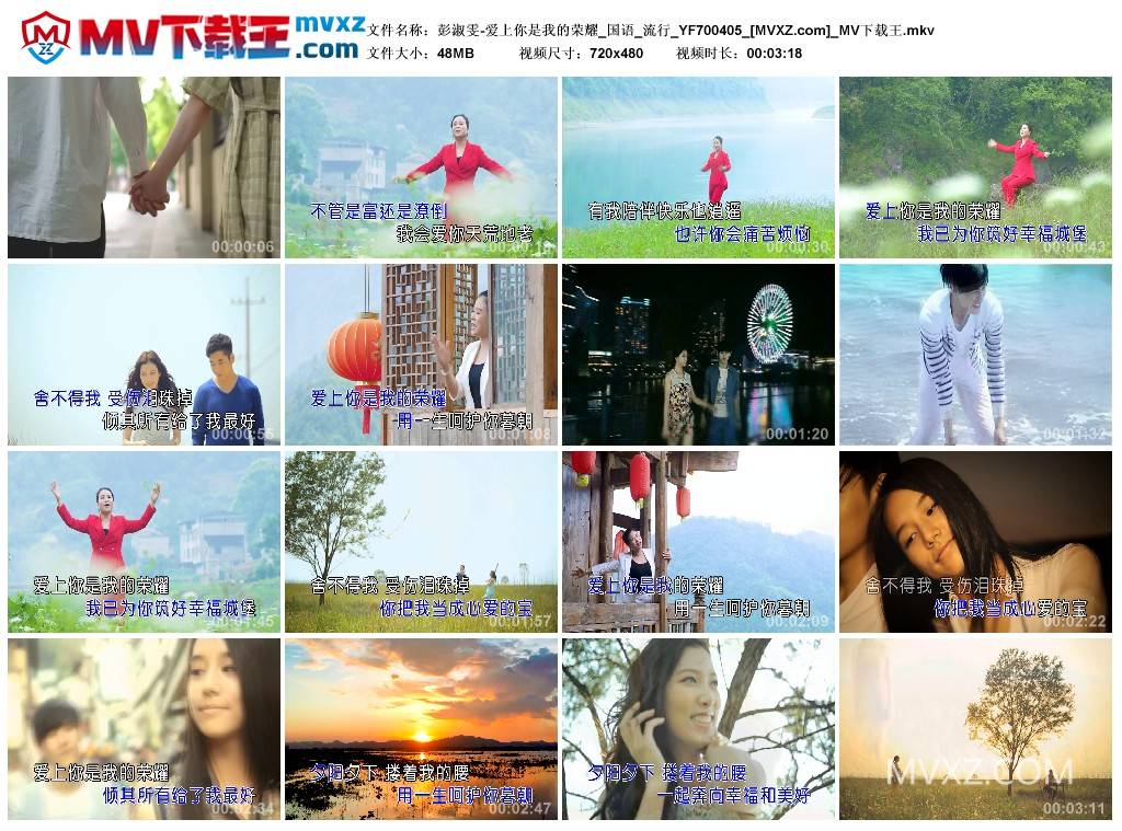 彭淑雯-爱上你是我的荣耀_国语_流行_YF700405